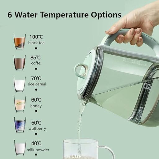 Buydeem K1594T i A206 Zestaw czajnika elektrycznego i podgrzewacza z garnkiem (zielony)