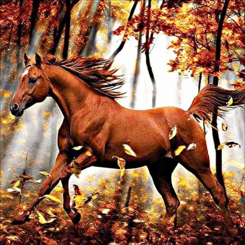 Bshop Diamentowy obraz z motywem konia 30 x 30 cm